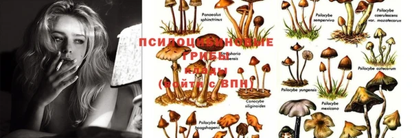 марки lsd Майский